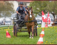 2POSIEUX 0306